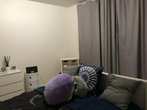 Room (female only, no couples) Lyons - $200pw