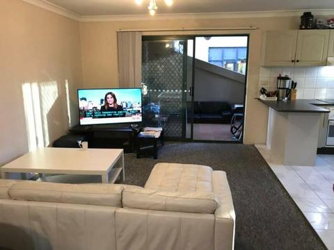 Triple Share Rooms For Rent In Chippendale ★Close To University★