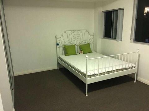 Hurstville single room for rent