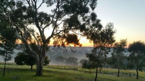 Cheap Room Available for Hobby Farm in Adelaide Hills