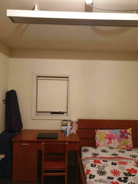 Single ensuite room for rent in Bathurst street