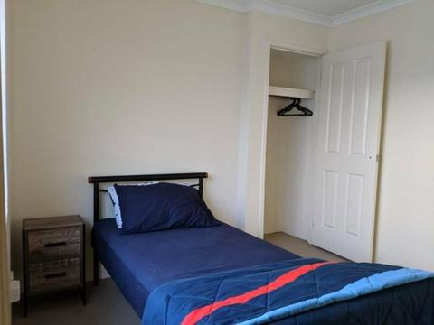 150pw Carlisle Room for rent - SOR