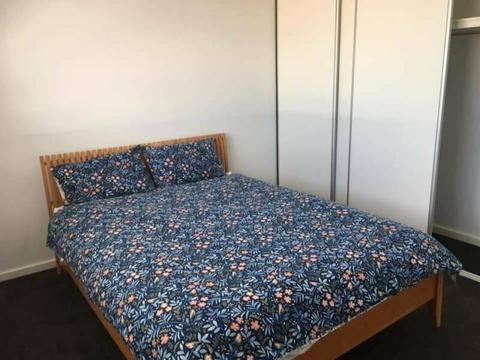 Room for Rent in Geraldton- Great location!