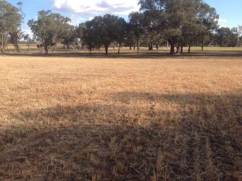 Land for sale 4 acres cargo nsw