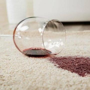 building-maintenance and Carpet Cleaning Service