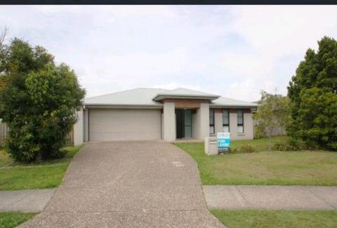 4 Bed house Coomera