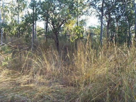 Grazing property for lease, 3,894 acres, considering offers