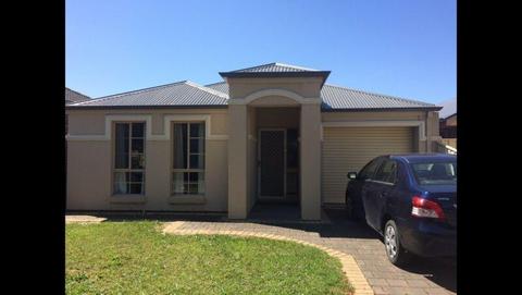 Near new house 3 bedroom rooms for rent 20 A Craig St Greenacres SA