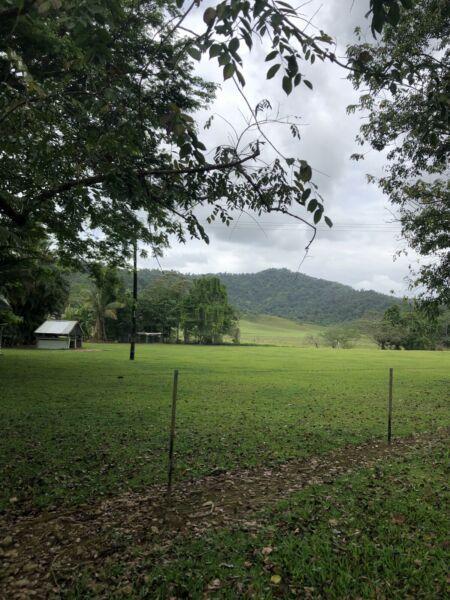 2.5 ACRES 3 BDMS HOME IN PEACEFUL TROPICAL VALLEY