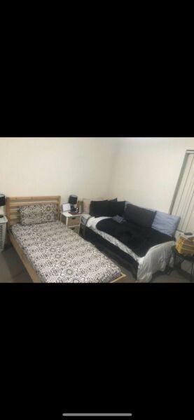 One person single bed in double shared room $210p/w