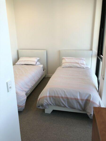 Share room in high rise apartment Brisbane city