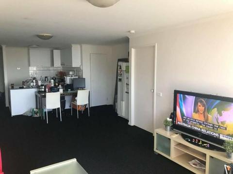 Female roomate wanted, 7min from Fed Sq