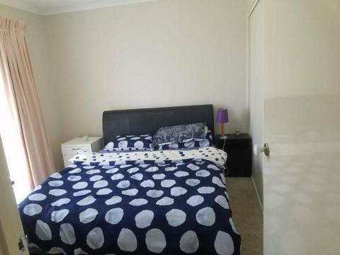 Amazing short term double bedroom available for rent In Roxburgh park