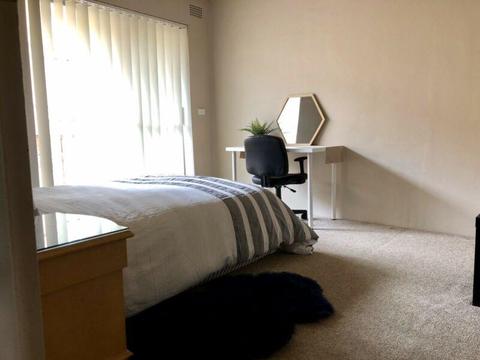 Campsie Master Bedroom For Rent Immediate Move In