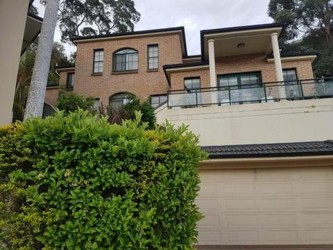 Large Room for rent in Frenchs Forest
