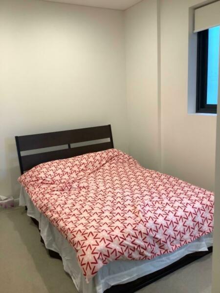 Share accommodation sydney