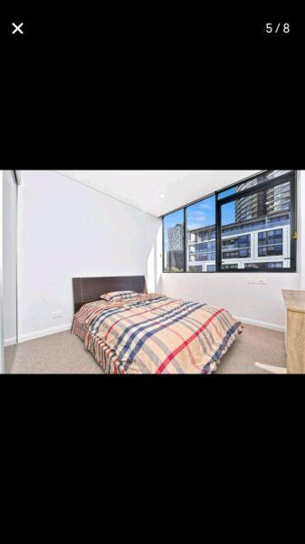 2 rooms available for rent in Sydney Olympic Park (Flat Share)
