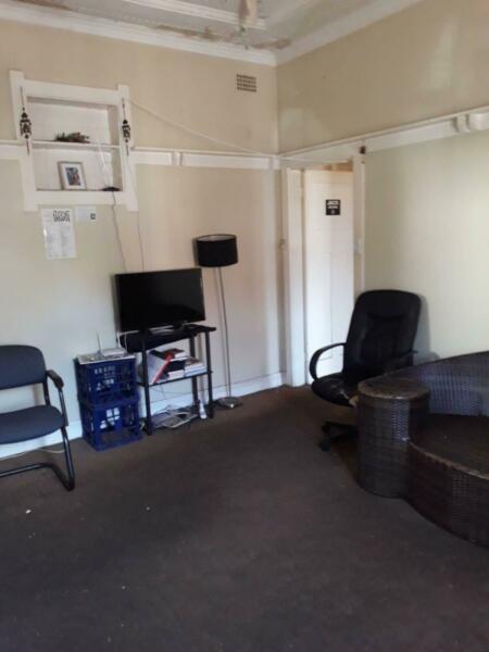 One Room for Rent Ashfield