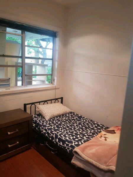 Room in Belmore for only $100/wk for a female, AllBills included