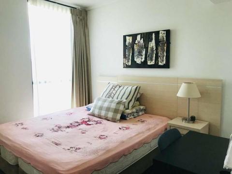 One bedroom for renting in Brisbane city (Bills partly included)