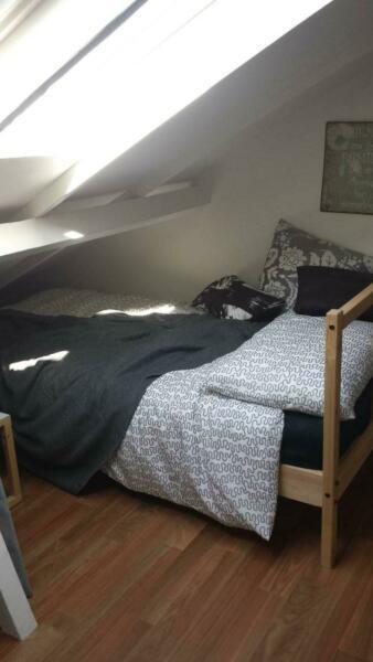 Student room2 in FEMALE share house for rent/10 min by bus to Flinders