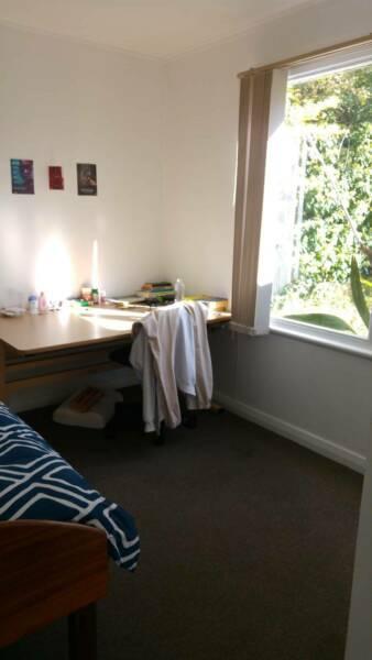 Room for Rent - Travellers & International Students welcome :)