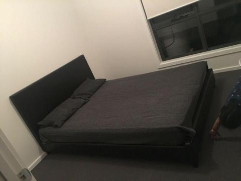 Room for rent in brighton
