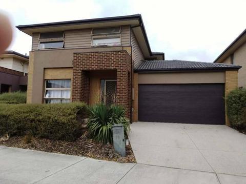 Western Suburb: double room in nearly new house, Sunshine West