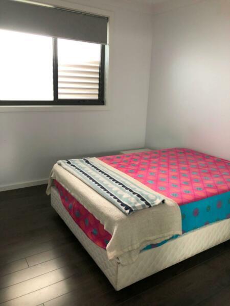 Room for rent in Springvale only for Indian girl