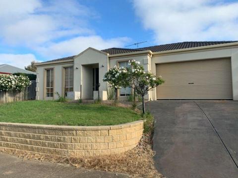 Room for rent In Waurn Ponds