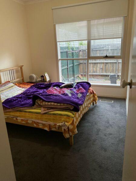 Room for rent- Monash uni Caulfield