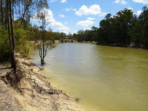 100 ACRES of Waterfront Land in MOAMA NSW right on Murray River