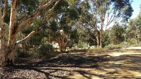 LAND FOR SALE in HODDYS WELL, near TOODYAY