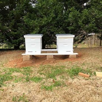 Wanted - Land for Bee hives