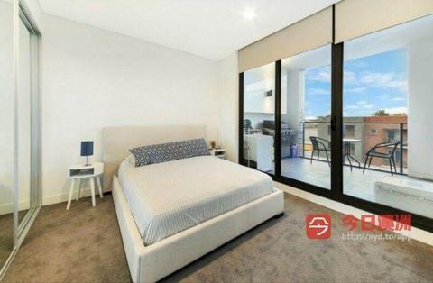 Rosebery amazing new apartment for rent!