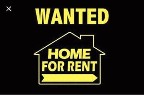 Wanted home for rent