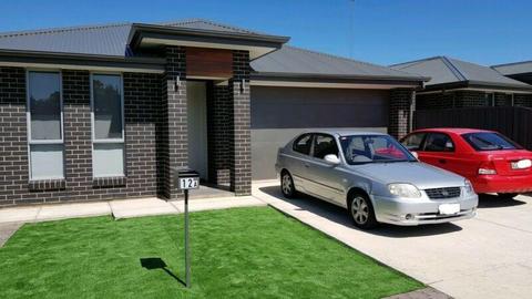 4 Bedroom Brand New house for Rent near Mawson Lakes