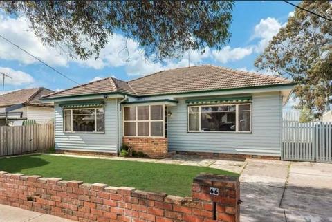 3 beds, student House near North Geelong Station for rent