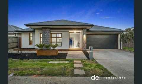 house for rent in Dandenong