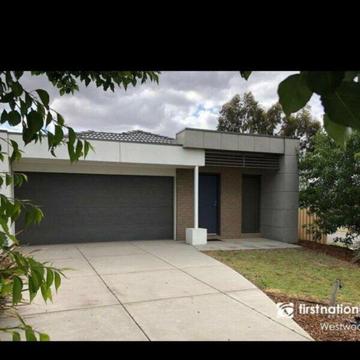 House for rent in Wyndham vale