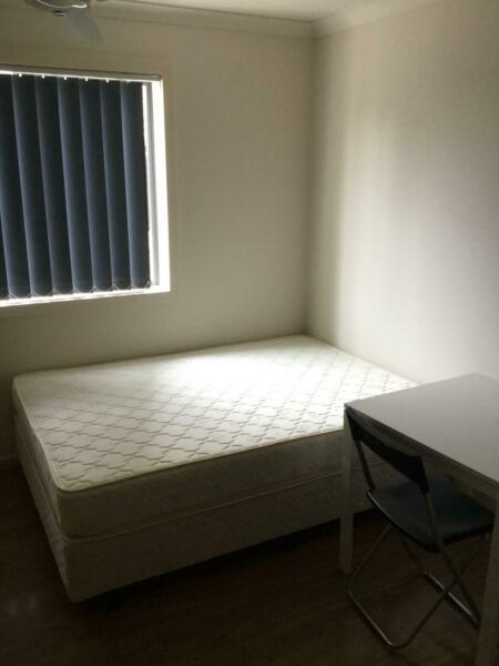 1 bedroom apartment/studio