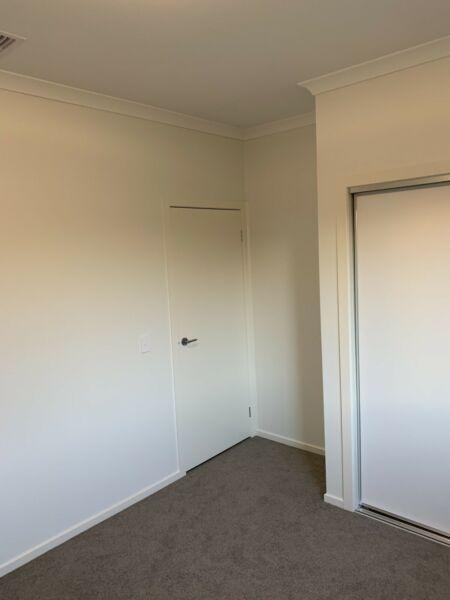 Brand new room for rent