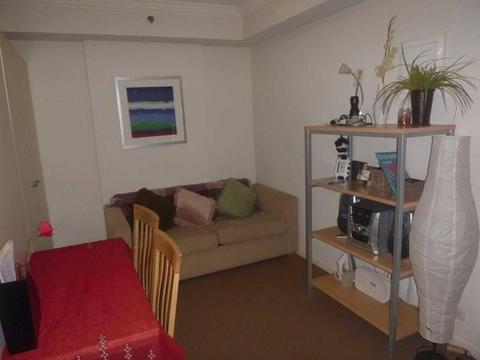 Fully furnished one bedroom apartment in the middle of the city