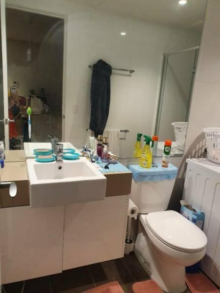 ROOMMATE WANTED IN SOUTHBANK (COUPLE OR OWN ROOM)