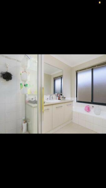 Room For Rent Canningvale