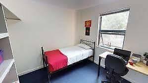 Sydney NSM short term furnished bedroom (Female tenant only)