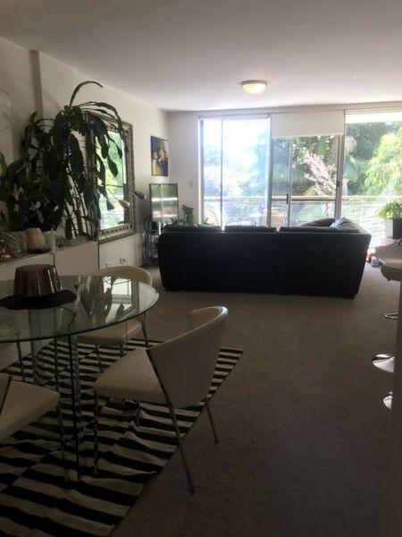 2 bedroom apt available for 6 weeks in Double Bay
