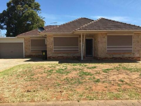 Parafield gardens - house for rent