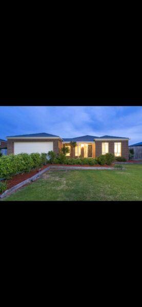 2 Rooms for rent Waurn Ponds