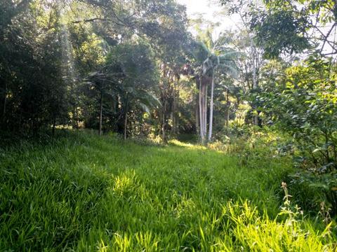 Mullumbimby 5 acres rainforest share for sale